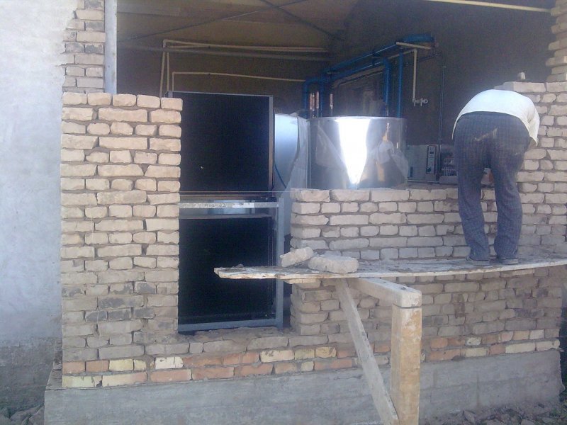 Uzbekistan, DFP 110 cows