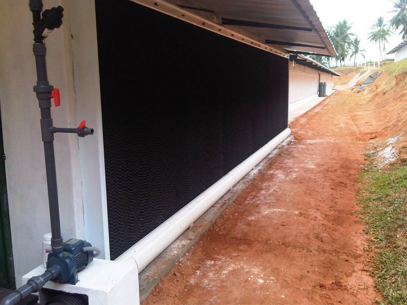 Pad cooling
