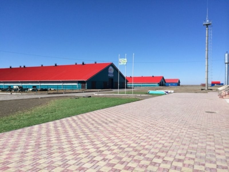 Stable exterior — Dairy farm for 500 cows in Kazakhstan